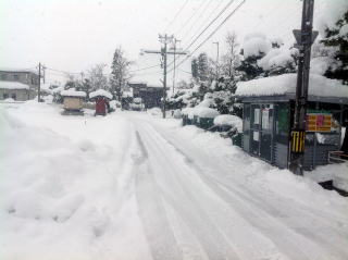 大型固定式ゴミステーション