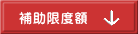 補助限度額